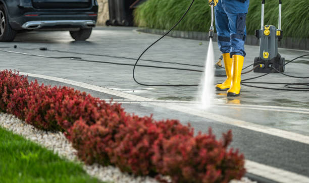 Best Sidewalk and Walkway Cleaning  in Kahaluu Keauhou, HI